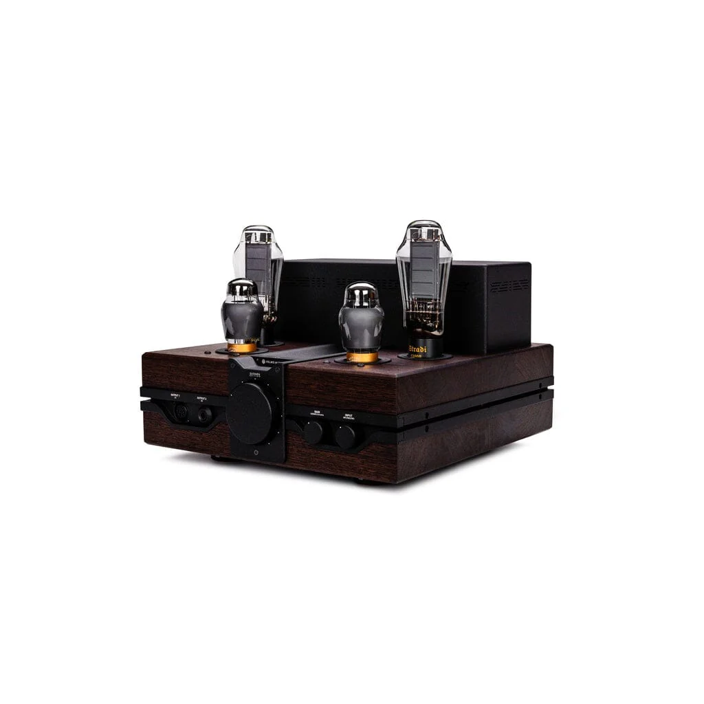 Feliks Audio Envy Susvara Edition