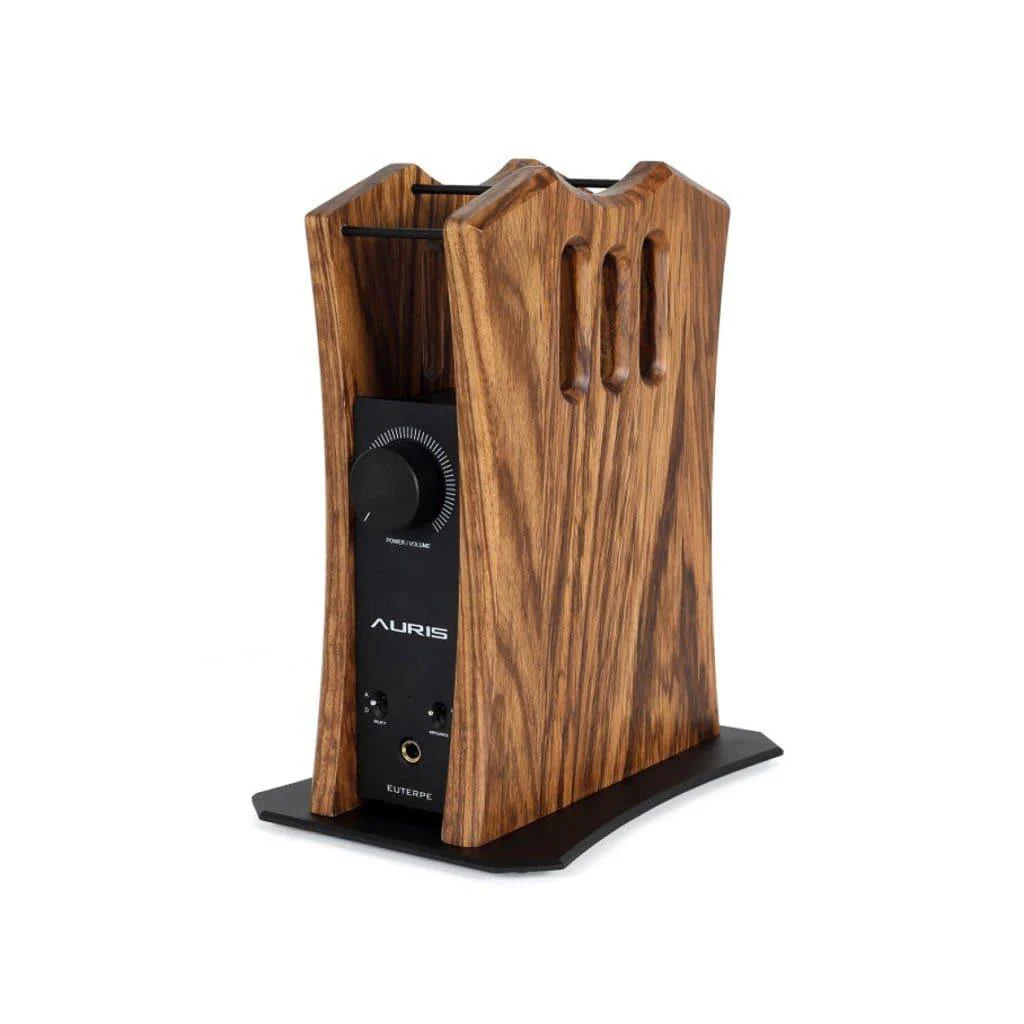 618-auris-audio-euterpe-1.webp Auris Audio Euterpe